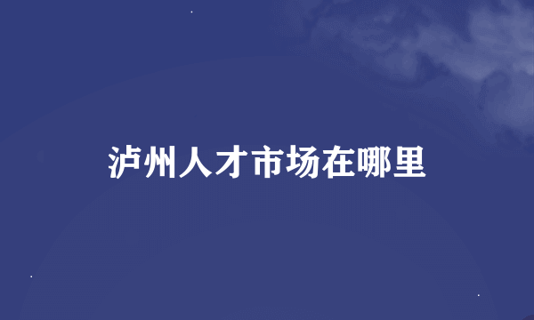 泸州人才市场在哪里