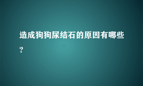 造成狗狗尿结石的原因有哪些？