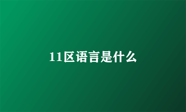 11区语言是什么