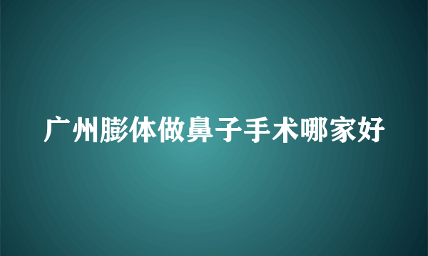 广州膨体做鼻子手术哪家好