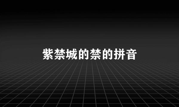 紫禁城的禁的拼音