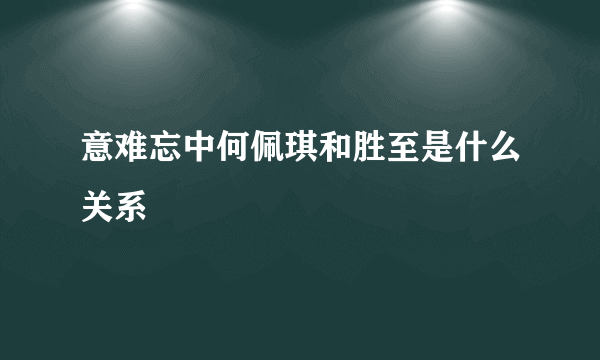 意难忘中何佩琪和胜至是什么关系