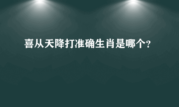 喜从天降打准确生肖是哪个？