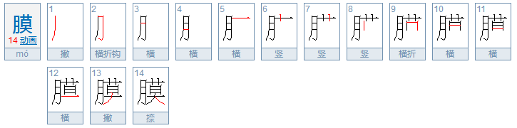 月字旁的字有哪些？