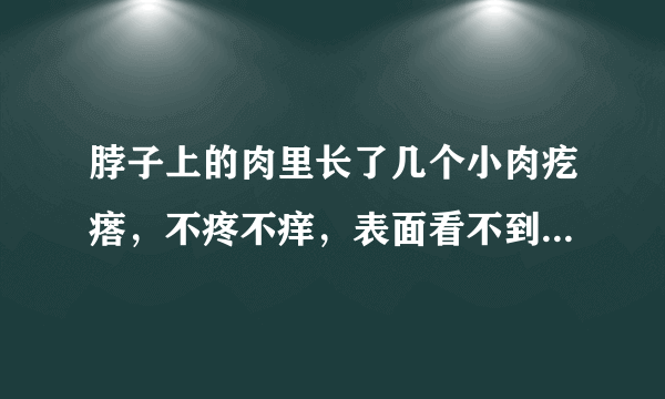 脖子上的肉里长了几个小肉疙瘩，不疼不痒，表面看不到能摸到怎么回事