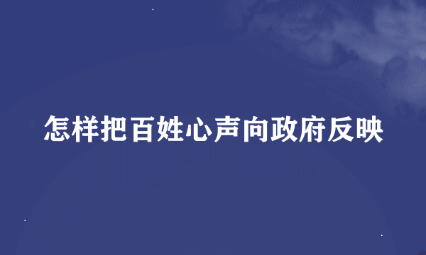 怎样把百姓心声向政府反映