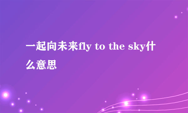 一起向未来fly to the sky什么意思