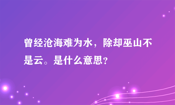 曾经沧海难为水，除却巫山不是云。是什么意思？