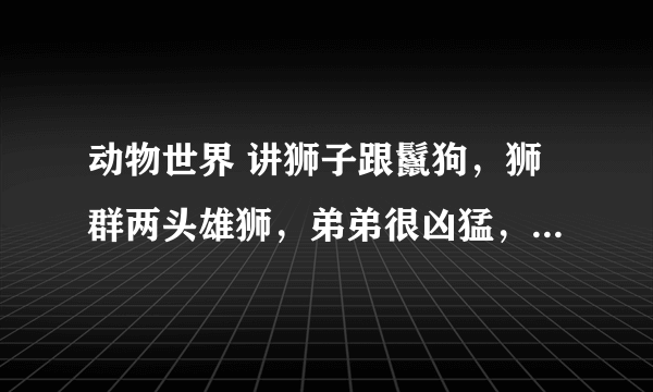 动物世界 讲狮子跟鬣狗，狮群两头雄狮，弟弟很凶猛，最后从灌草丛中冲出来把鬣狗首领咬死是哪一期？