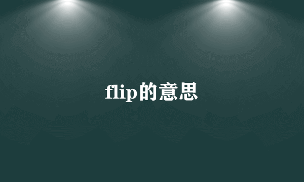 flip的意思