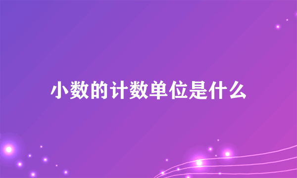 小数的计数单位是什么