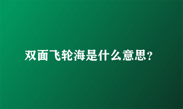 双面飞轮海是什么意思？