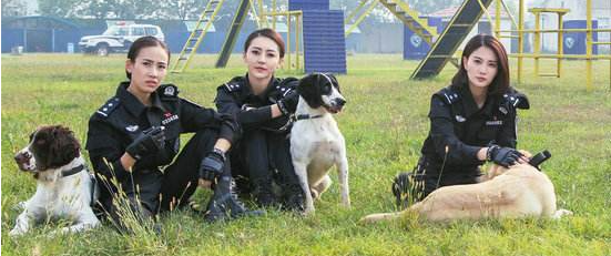 《警花与警犬》中的警犬都有哪些品种？