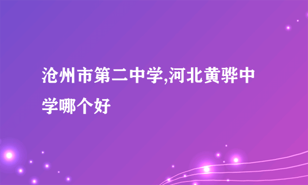 沧州市第二中学,河北黄骅中学哪个好