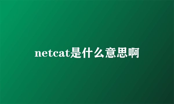 netcat是什么意思啊