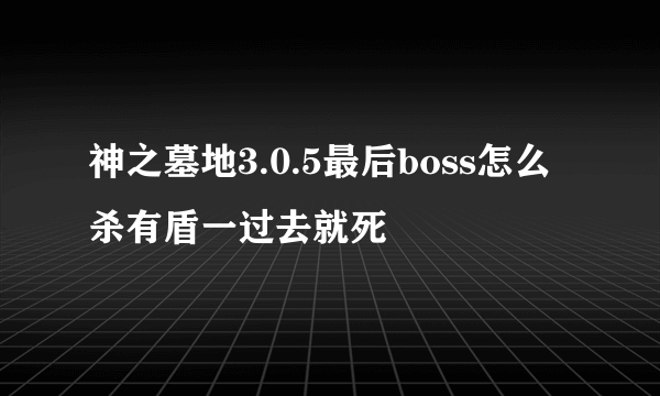 神之墓地3.0.5最后boss怎么杀有盾一过去就死