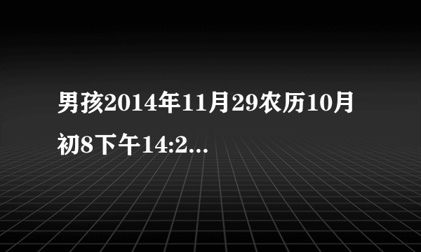 男孩2014年11月29农历10月初8下午14:27出生 出生地山东菏泽 生辰八字起的名字是 高