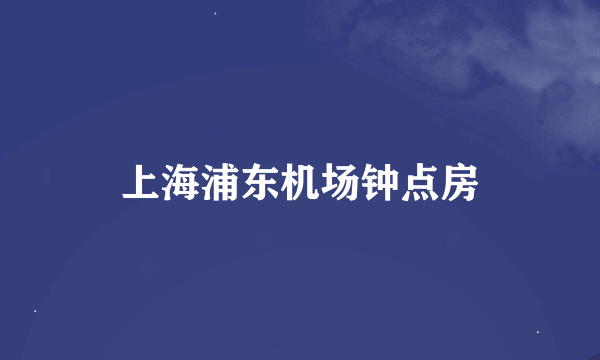 上海浦东机场钟点房