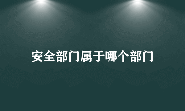 安全部门属于哪个部门