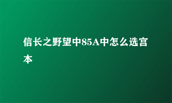 信长之野望中85A中怎么选宫本