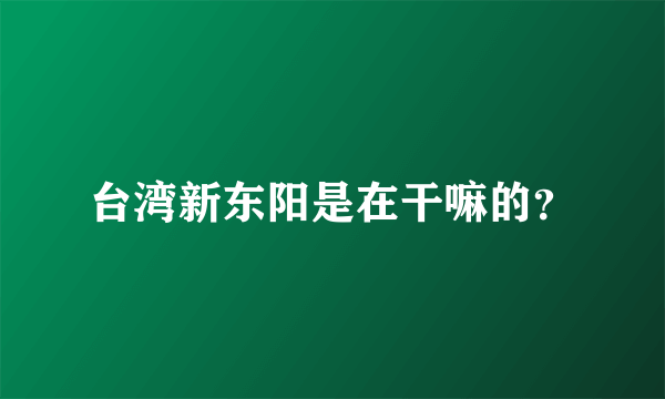 台湾新东阳是在干嘛的？