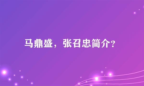 马鼎盛，张召忠简介？