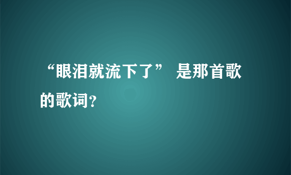 “眼泪就流下了” 是那首歌的歌词？