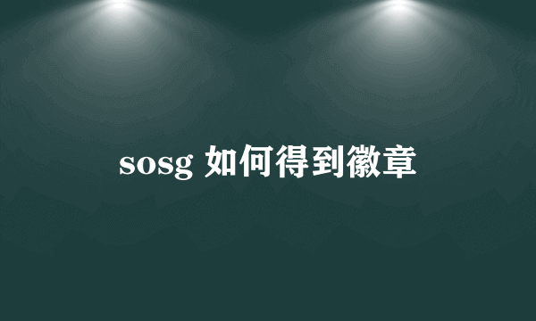 sosg 如何得到徽章