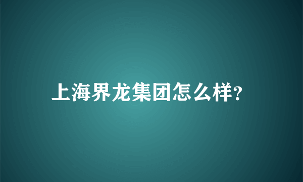 上海界龙集团怎么样？