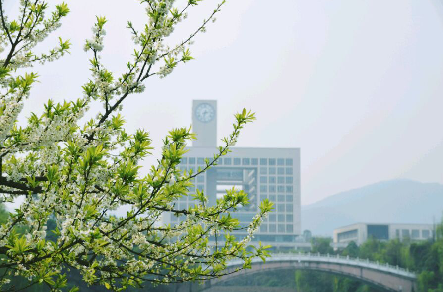 重庆师范大学怎么样