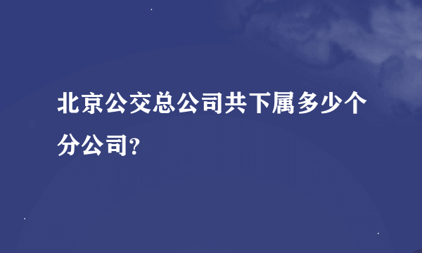 北京公交总公司共下属多少个分公司？