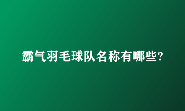 霸气羽毛球队名称有哪些?