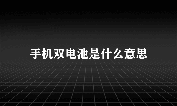 手机双电池是什么意思