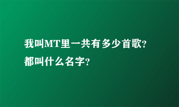 我叫MT里一共有多少首歌？都叫什么名字？