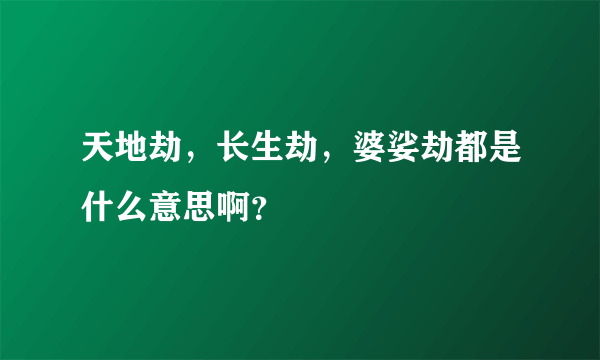 天地劫，长生劫，婆娑劫都是什么意思啊？