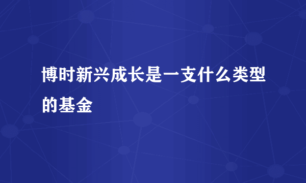 博时新兴成长是一支什么类型的基金