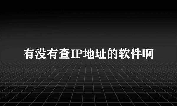 有没有查IP地址的软件啊