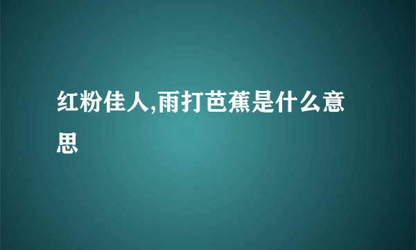 红粉佳人,雨打芭蕉是什么意思