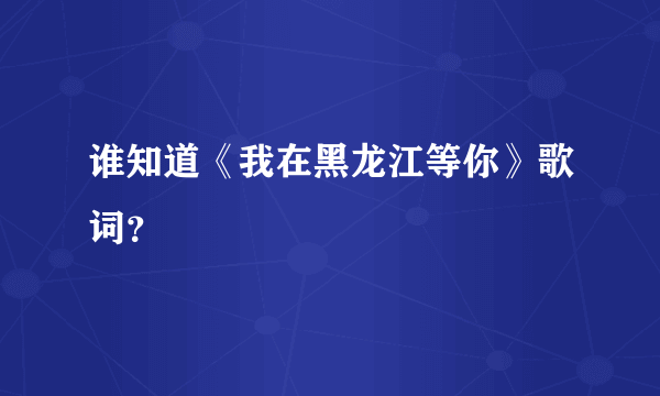 谁知道《我在黑龙江等你》歌词？