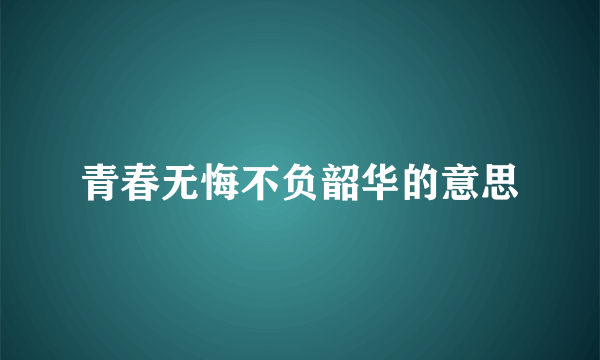 青春无悔不负韶华的意思