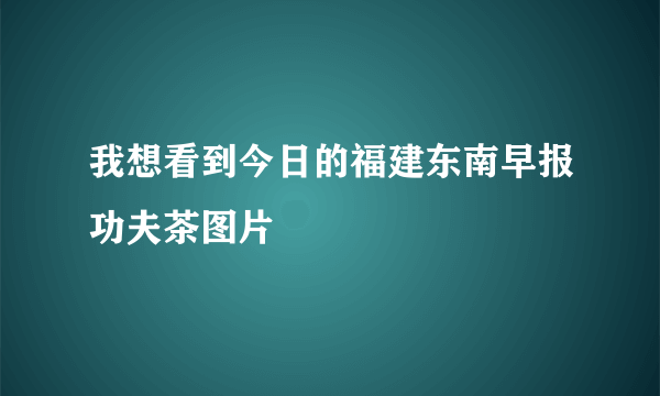 我想看到今日的福建东南早报功夫茶图片