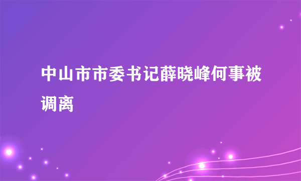 中山市市委书记薛晓峰何事被调离