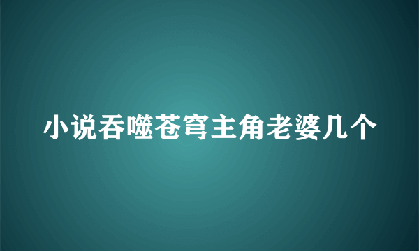 小说吞噬苍穹主角老婆几个