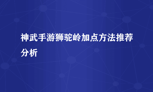 神武手游狮驼岭加点方法推荐分析