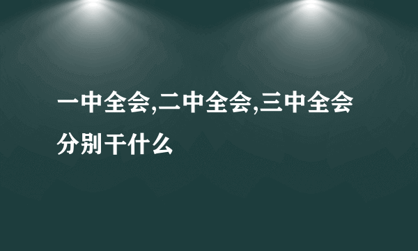 一中全会,二中全会,三中全会分别干什么