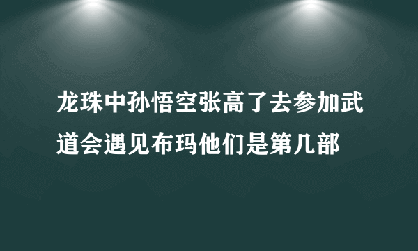 龙珠中孙悟空张高了去参加武道会遇见布玛他们是第几部