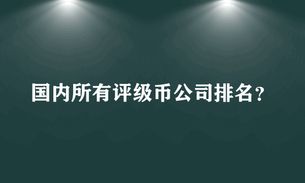 国内所有评级币公司排名？