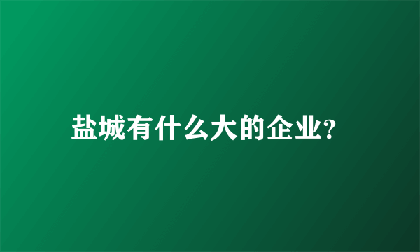 盐城有什么大的企业？