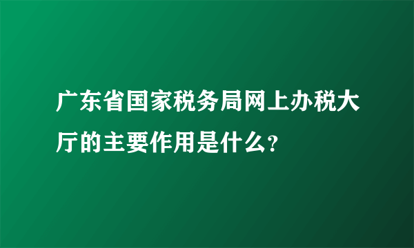 广东省国家税务局网上办税大厅的主要作用是什么？