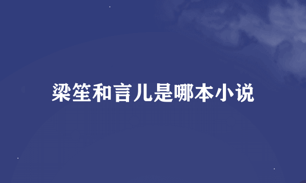 梁笙和言儿是哪本小说